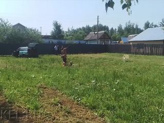  DS-1250 Фундаментные работы
